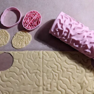 Khuôn Cắt Bánh & Con Lăn In Hình Bộ Não