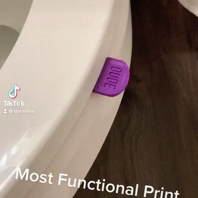 Toilet Seat Handle