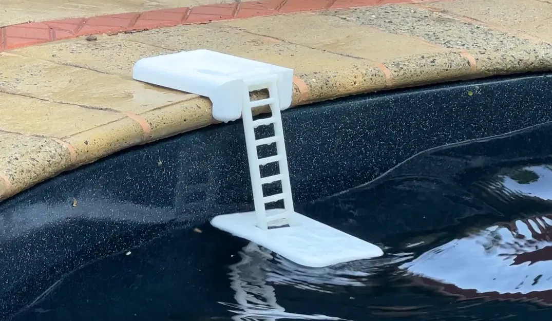 Cầu Trượt Cho Thú Cưng Trong Hồ Bơi - Image 1