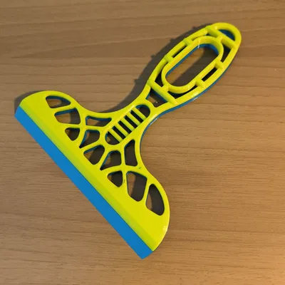 Cạp Băng - Công Thái Học