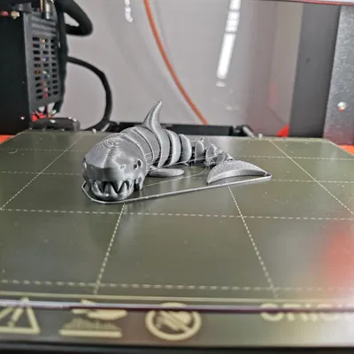 Cá Mập Khớp Nối Khớp Khớp