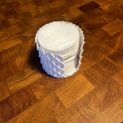 Hộp Đựng Bông Tẩy Trang Vảy Rồng