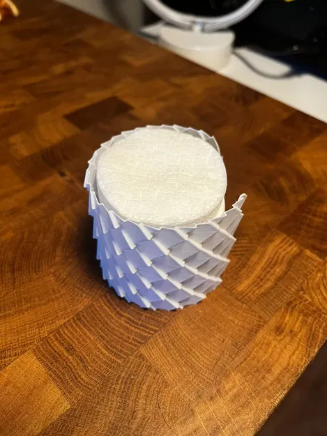 Hộp Đựng Bông Tẩy Trang Vảy Rồng - Image 4