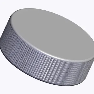 Miếng Puck Khúc Côn Cầu - Có Vân