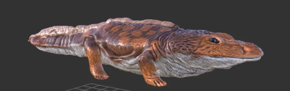 Metoposaurus - Image 1