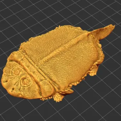 Mô hình Gerrothorax - Sinh vật lưỡng cư kỳ lạ từ châu Âu