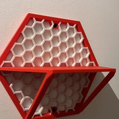 X3D HSW Display Shelf (Multicolor)