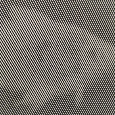 Ảo Ảnh Quang Học - Cá Chép