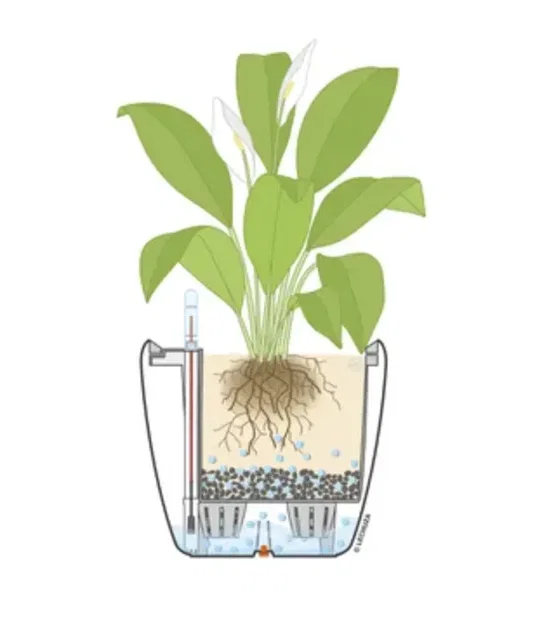 Lechuza Seperator cho cây trồng trong nhà - Image 1