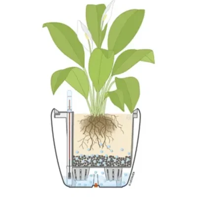 Lechuza Seperator cho cây trồng trong nhà