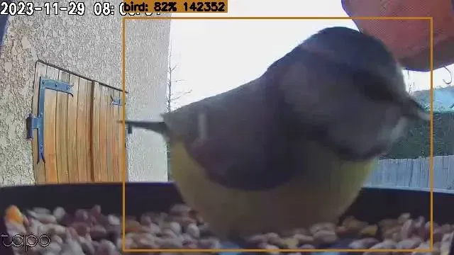 Máng Ăn Chim Có Khe Gắn Camera Tapo C100 - Image 7