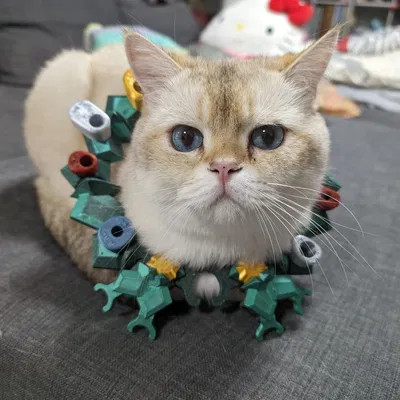 Vòng Nguyệt Quế Giáng Sinh Tri Matrix