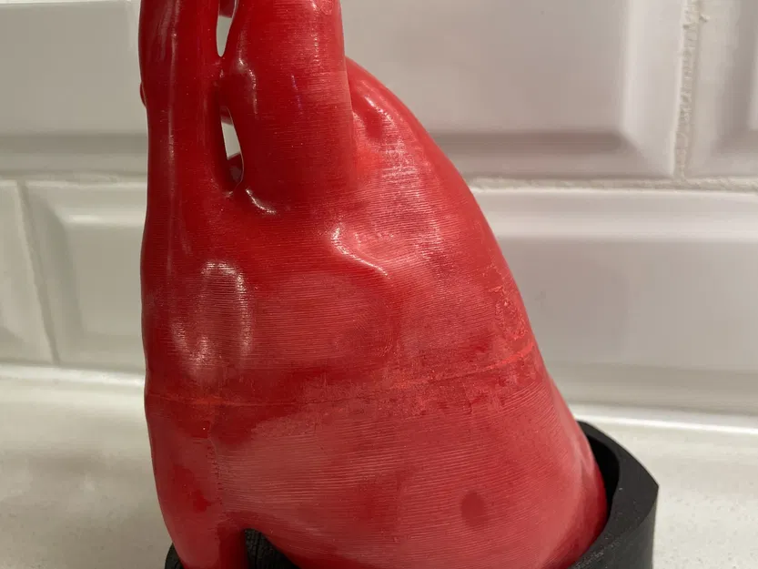 Mô Hình Tim Người Giải Phẫu Từ CT Tim, Kích Thước Thật - Image 3