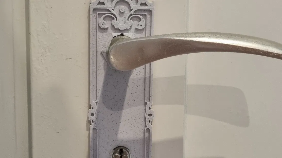 Tay nắm cửa kiểu Baroque / Phụ kiện cửa trang trí - Image 2