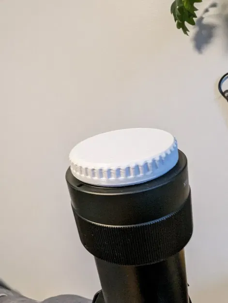 Nắp Đậy Ống Kính Sau Sony E-Mount - Image 2