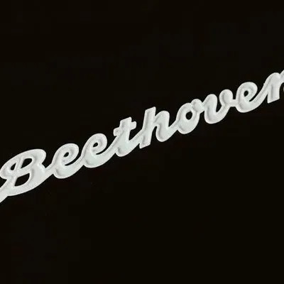 Logo/Biểu tượng Radio Stern-Radio Rochlitz Beethoven