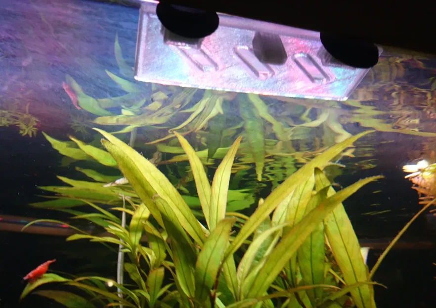 snail balcony - Image 1