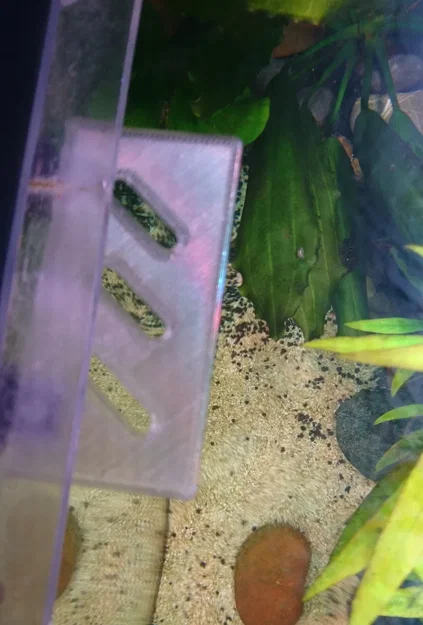 snail balcony - Image 2