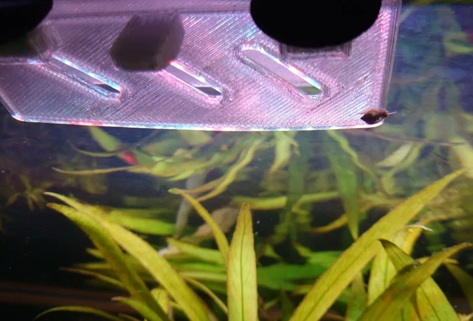 snail balcony - Image 3