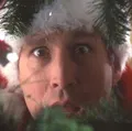 Ngôi nhà Advent trong phim Giáng Sinh của Chevy Chase - Thumbnail 4