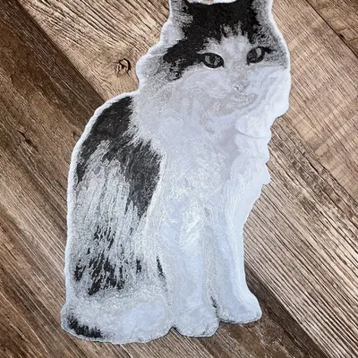 Mèo Đen Trắng (In Đa Sắc Màu) / Mèo Đen Trắng Hueforge