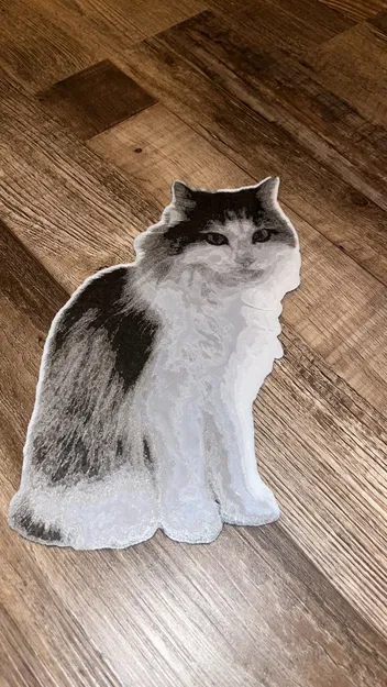 Mèo Đen Trắng (In Đa Sắc Màu) / Mèo Đen Trắng Hueforge - Image 2