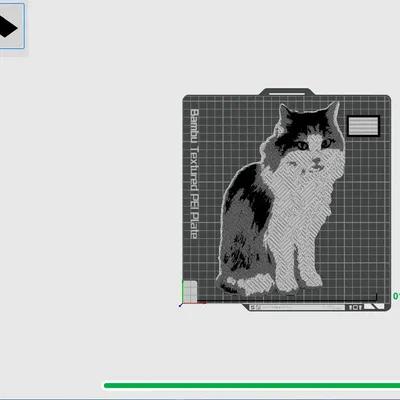 Mèo Đen Trắng (In Đa Sắc Màu) / Mèo Đen Trắng Hueforge