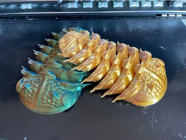 Trilobite (có khớp nối) - Image 1