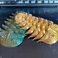 Trilobite (có khớp nối) - Thumbnail 1