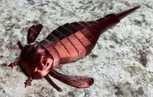 Bọ Cạp Biển - Eurypterus - Image 1