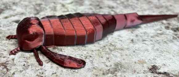 Bọ Cạp Biển - Eurypterus - Image 2