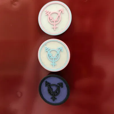 Nam Châm Transistor Tự Hào