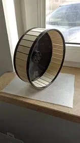 Bánh Xe Quay Cho Hamster - Image 1