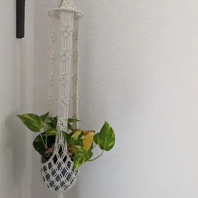 Giá Treo Cây Cảnh Lên Tường