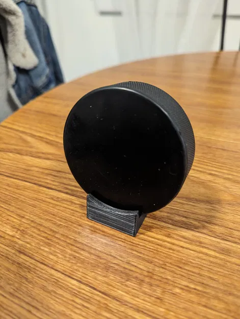 Chân Đế Trưng Bày Puck Khúc Côn Cầu - Image 1