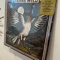 Vinyl Record Wall Display Clip - Thumbnail 1