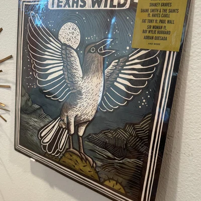 Vinyl Record Wall Display Clip