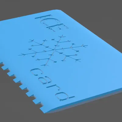 Icecard - Dụng Cụ Cào Băng Giá Xe Hơi Tiện Lợi