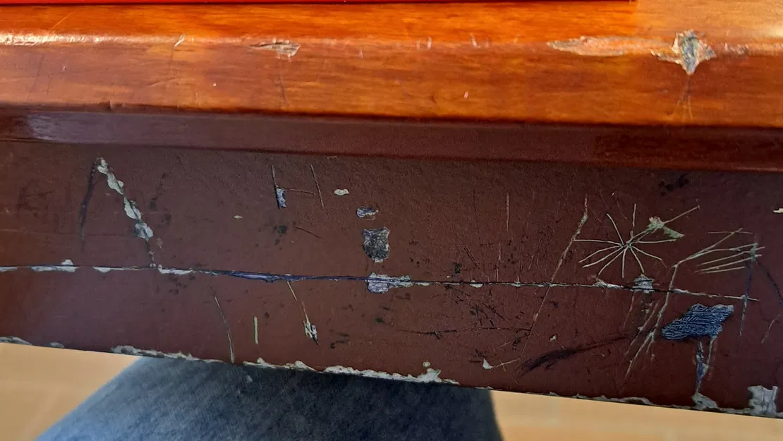 Heo Đất Bí Mật Hình Cuốn Sách - Image 3