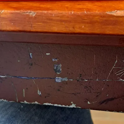 Heo Đất Bí Mật Hình Cuốn Sách