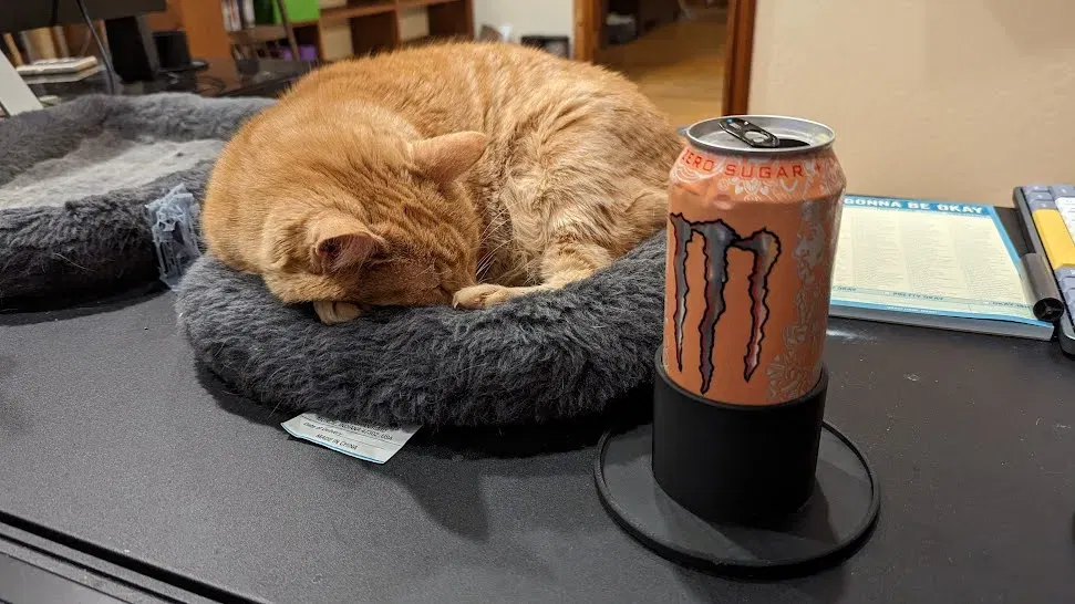 Đế Giữ Ly Nước Để Bàn - Image 1