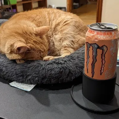 Đế Giữ Ly Nước Để Bàn