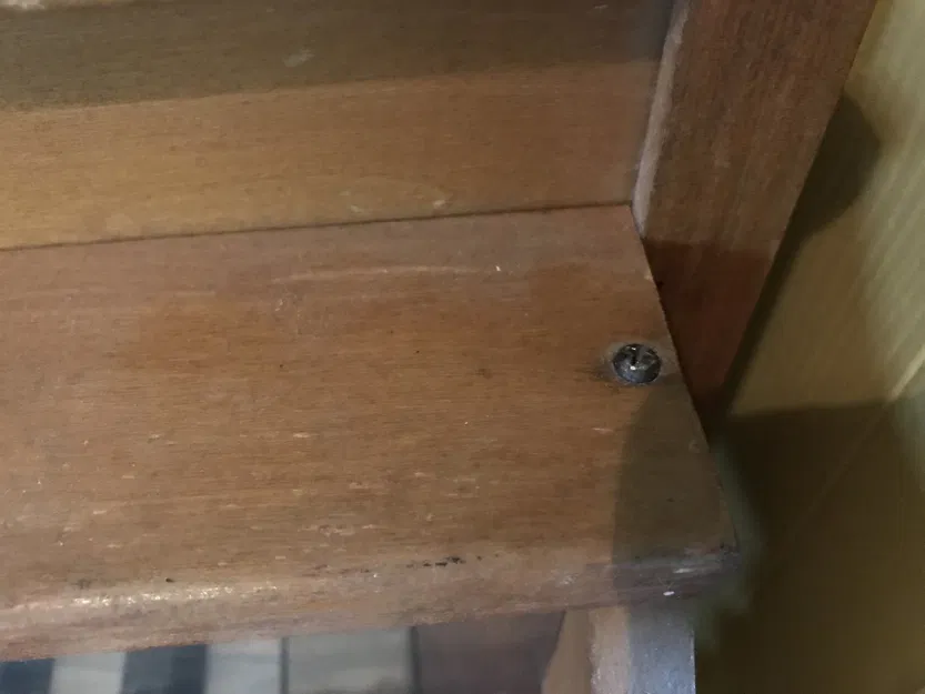 Phím Đàn Piano Đồ Chơi Thay Thế Cho Mello Ely Tone (Phím Đen Sắp Ra Mắt!) - Image 6