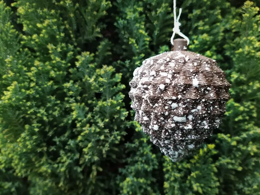 Trái thông Giáng Sinh - Image 1