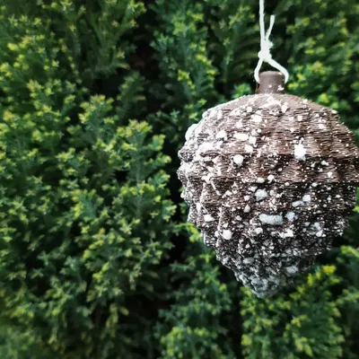 Trái thông Giáng Sinh