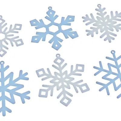 Hoa Tuyết Trang Trí