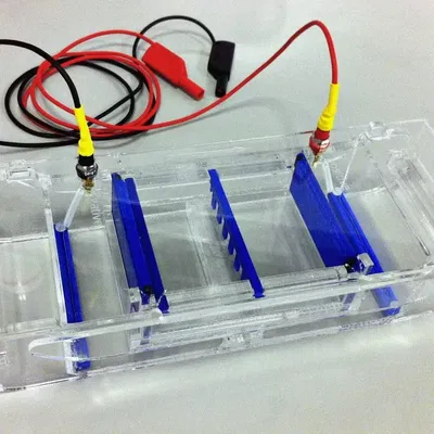 Parametric gel electrophoresis system