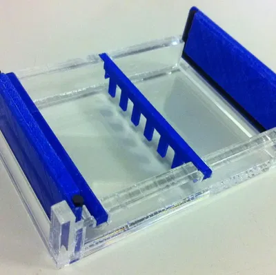 Parametric gel electrophoresis system
