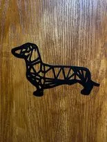 dachshund - Image 1