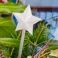 Star Straw decoration - Thumbnail 1